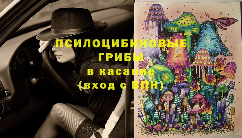 Галлюциногенные грибы Cubensis  Челябинск 